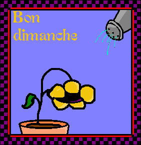Bon dimanche plante